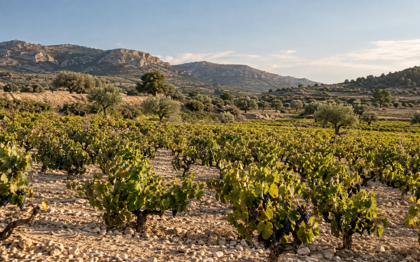 Viñedos entre tierras secas y sierras mediterráneas — recreación visual con IA, no es un lugar concreto