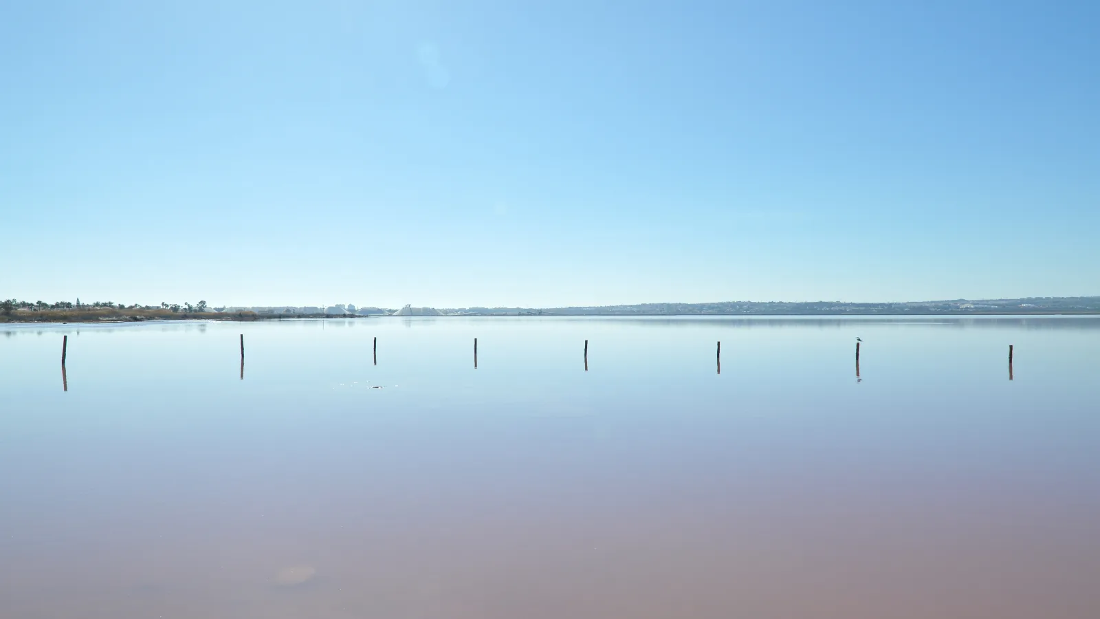 Superficie tranquila de la laguna de Torrevieja bajo un cielo azul