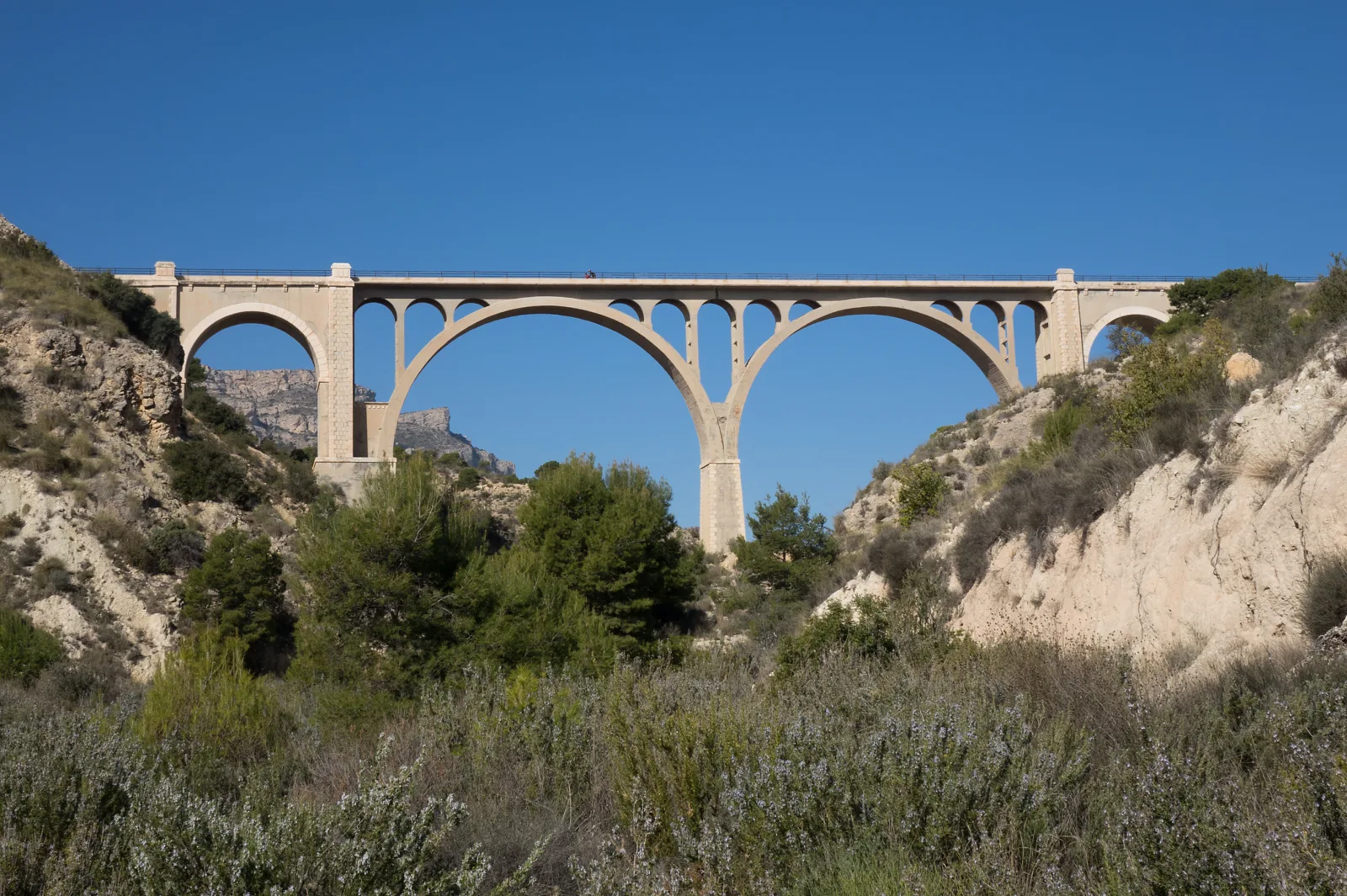 Viaducto de grandes arcos sobre un barranco en la Vía Verde del Maigmó